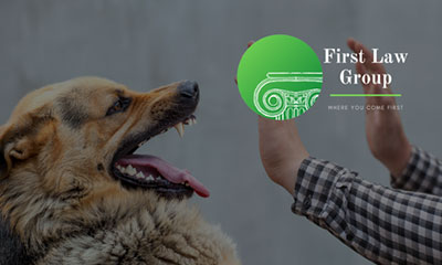 Dog Bites - Personal Injury Lawyer - Covina, Hemet, California